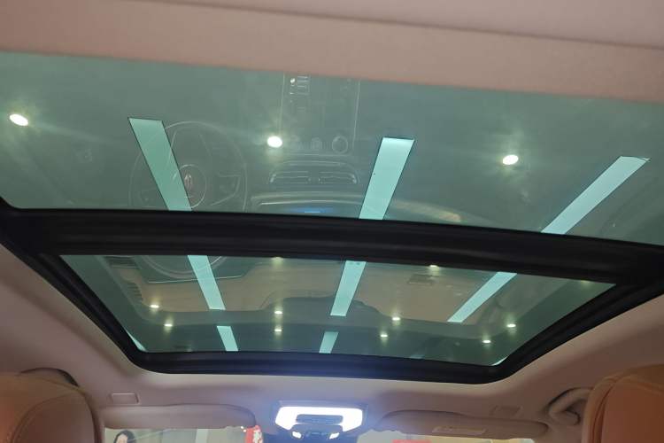 Used Hongqi H9 2022 2.0T Smart Connect Flagship Edition Headliner