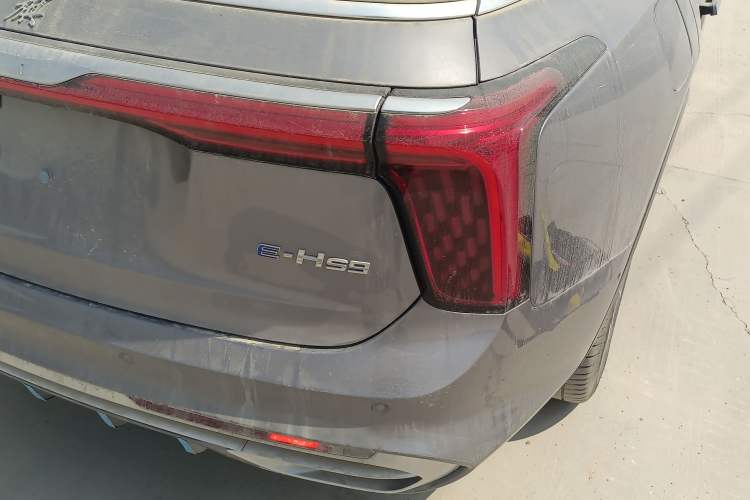 Used Hongqi E-HS9 2024 660 km Range Flagway Edition Six Seats
