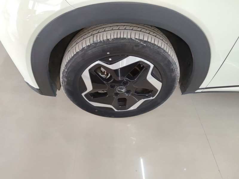 Used BYD Dolphin 2021 405 km Fashion Edition — 22