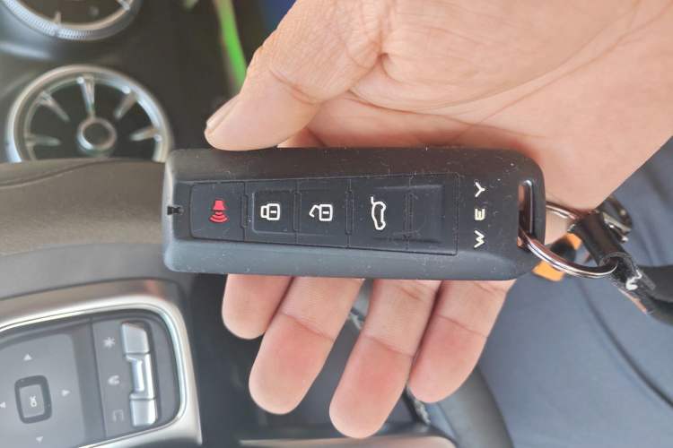 Used Tank 300 2021 Off-Road Edition 2.0T Conqueror