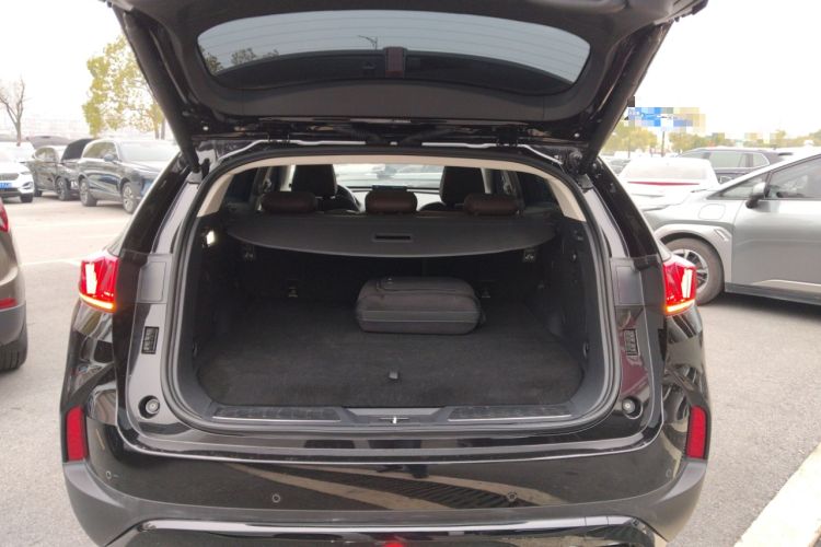 Used Wey P8 2018 2.0T Flagship Model
