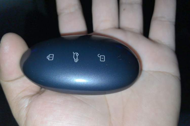 Used Rising F7 2023 Long-Range Edition Vehicle Key