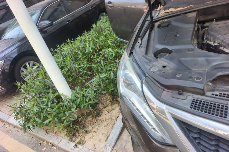 Used BYD Tang New Energy 2017 2.0T All-Wheel Drive Hyatt Model