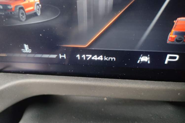 Used Tank 300 2024 2.0T Conqueror
