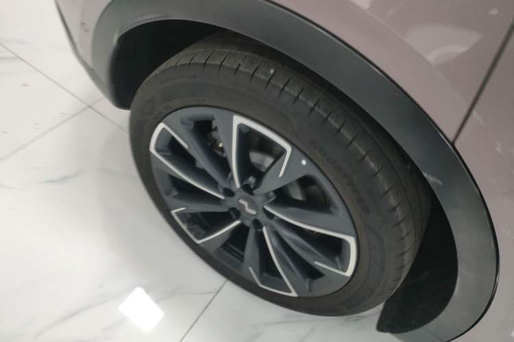 Used ONVO L60 2024 60 kWh Rear-Drive Version
