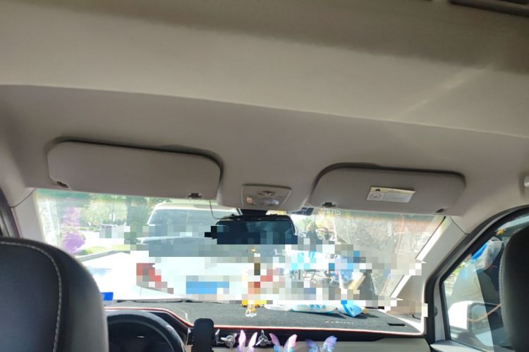 Used Wuling Hongguang PLUS 2019 1.5T Manual Luxury 7-Seater