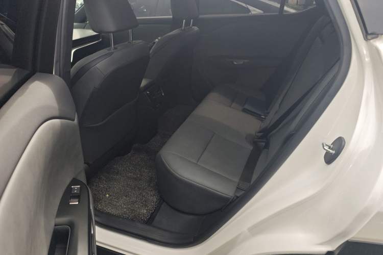 Used Lexus RZ 2023 450e All-Wheel Drive Luxury Edition Left Rear Seat