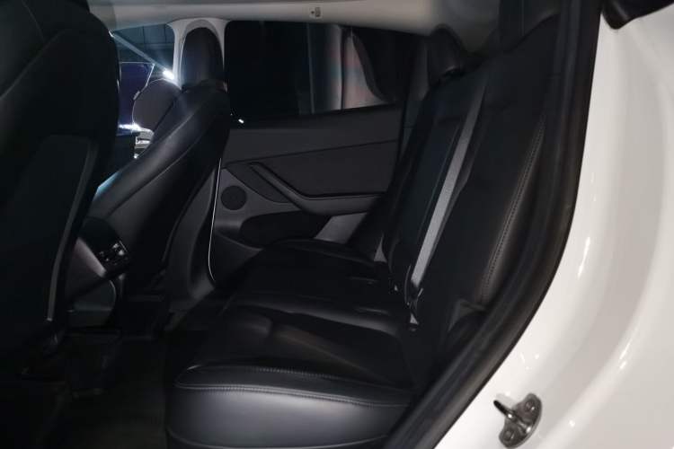 Used Tesla Model Y 2021 Standard Range Rear-Wheel Drive Version Left Rear Seat