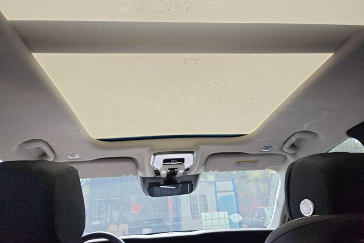 Used Hongqi E-HS9 2021 460 km Range Flagship Edition Six-Seater
