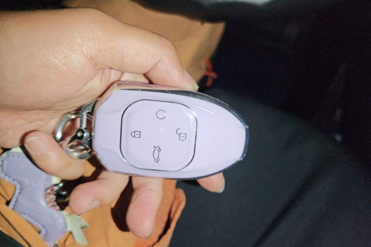 Used GAC Trumpchi GS8 2022 Flagship Series 2.0 TGDI Four-Wheel Drive Luxury Smart Connectivity Version (7 Seats)
