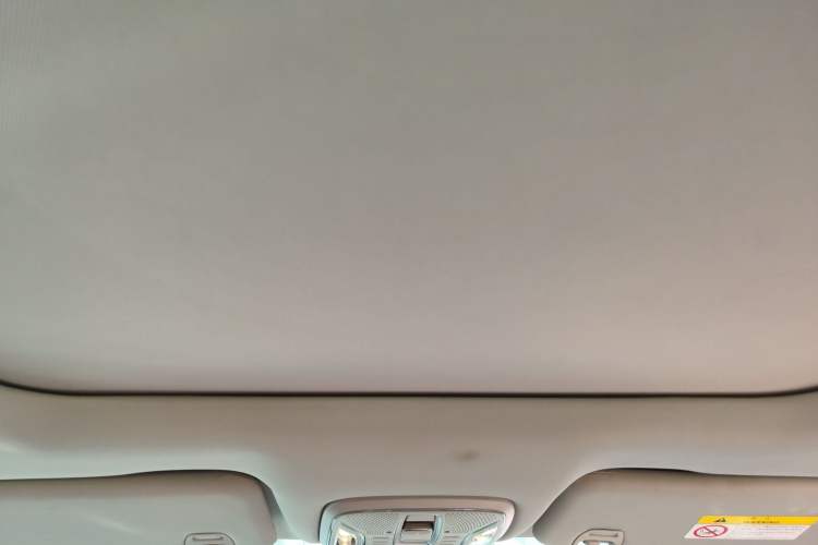 Used GAC Trumpchi GS4 PLUS 2021 270T Automatic Star Edition Headliner