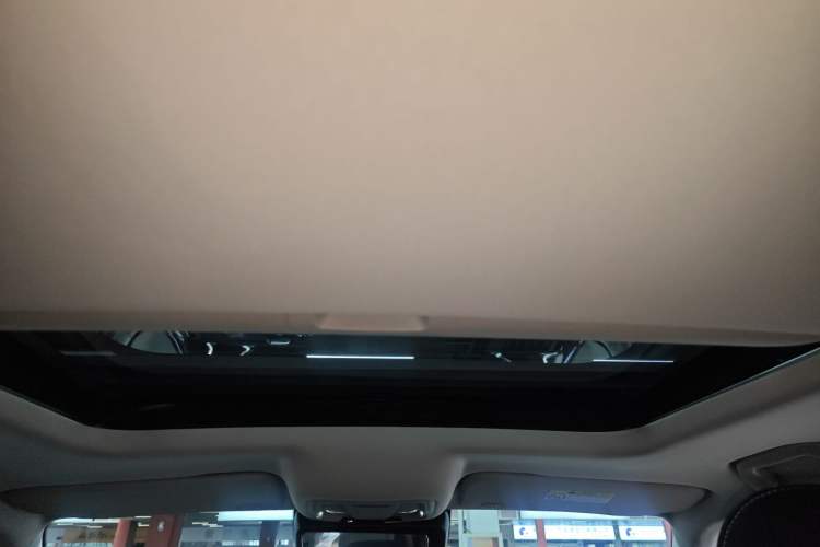 Used Tank 300 2024 2.0T Conqueror Headliner