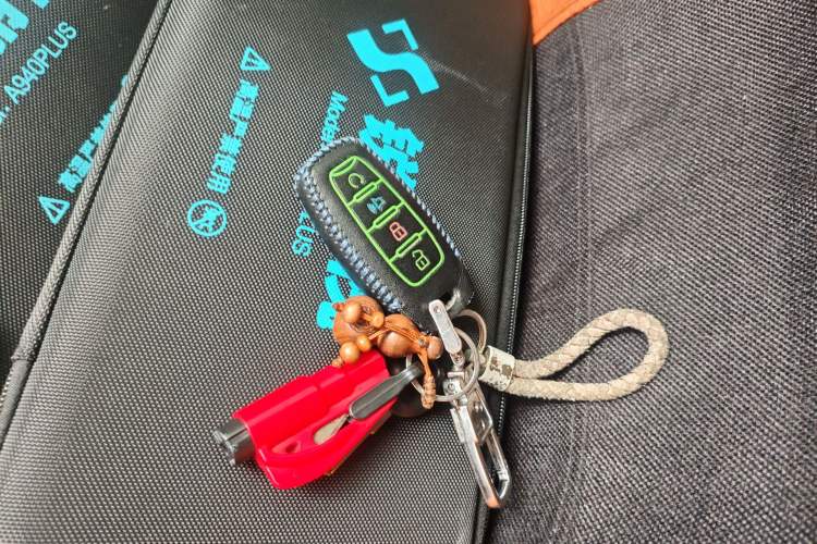 Used Great Wall Poer 2020 2.0T Off-Road Edition Automatic Diesel 4x4 Advanced Version with Trailer Capability GW4D20M Vehicle Key