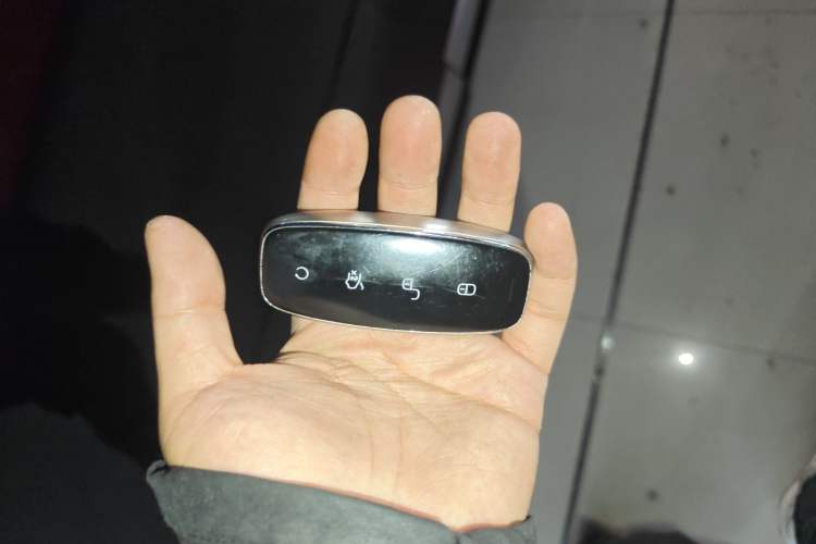 Used Denza D9 2022 DM-i 970 Four-Wheel Drive Prestige Model
