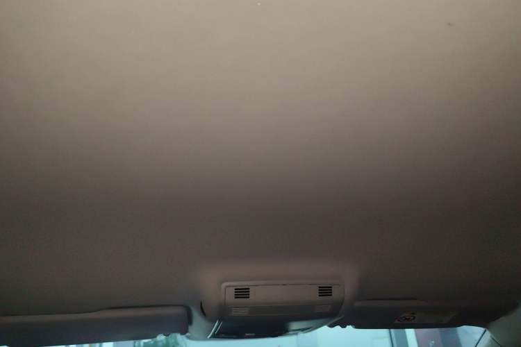Used Volkswagen Magotan 2020 280TSI DSG Comfort Edition Headliner