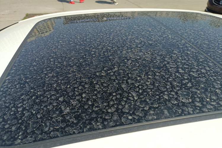 Used Audi A4L 2018 30th Anniversary Edition 40 TFSI Sport Edition Roof