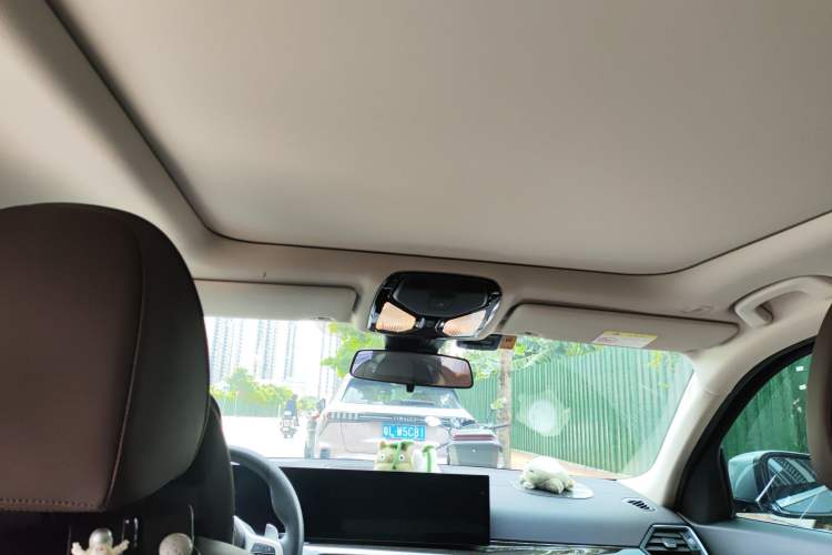 Used BMW 3 Series 2023 325Li M Sport Package Headliner