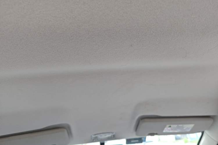 Used Dongfeng NAMMI EX1 2023 PRO Light Wind Edition Lightning Model