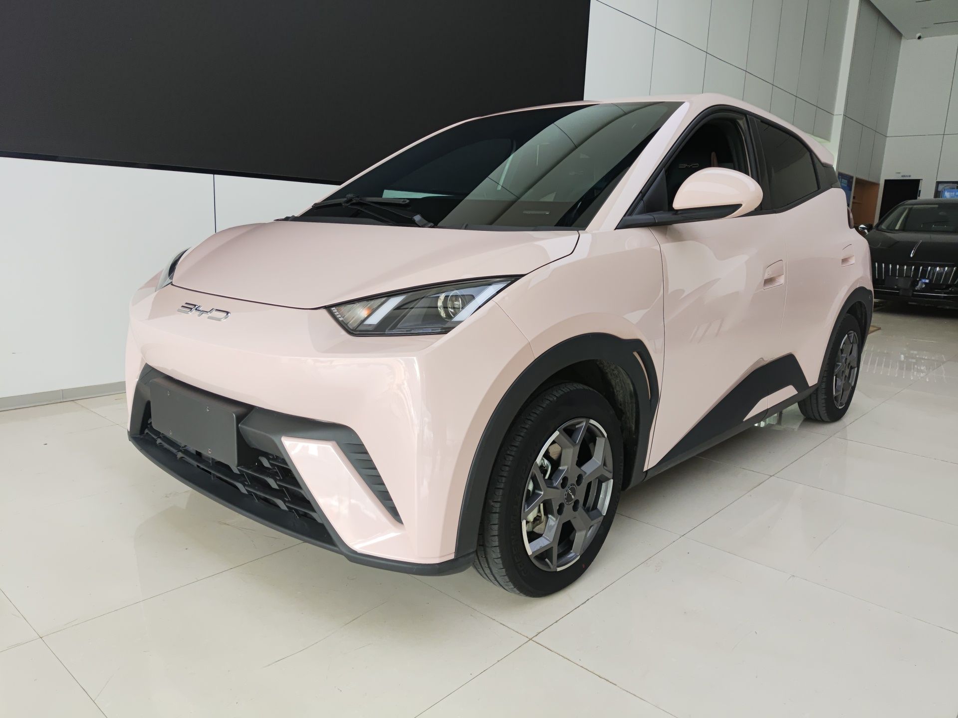 Parte inferior delantera