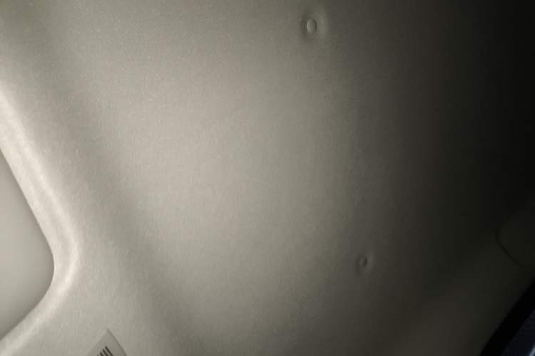 Used ORA Black Cat 2021 351 km Standard Version Headliner