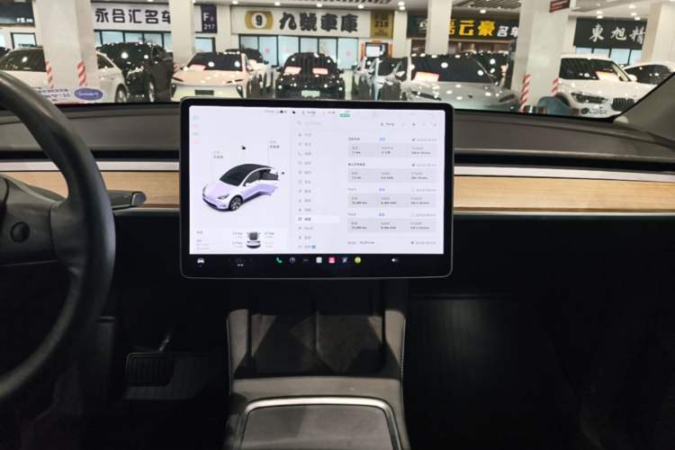 Used Tesla Model Y 2021 Standard Range Rear-Wheel Drive Version