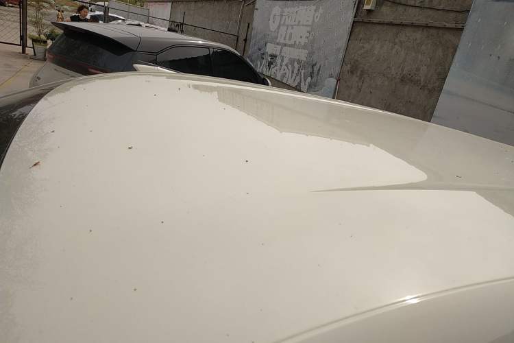 Used BYD Seagull 2025 305km Active Version Roof