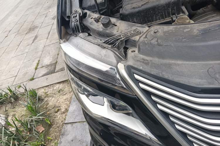 Used FORTHING Lingzhi 2020 M5L 1.6L Utility Model