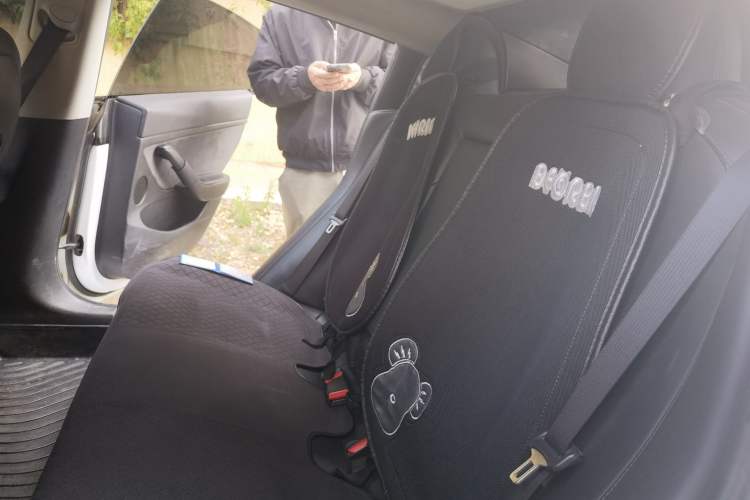 Used Tesla Model 3 2021 Standard Range Rear-Drive Upgraded Version
