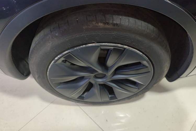 Used Tesla Model Y 2024 Rear-Wheel-Drive Version Exterior 5