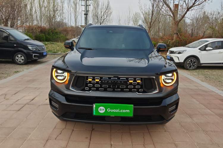 Used Haval H Dog New Energy 2024 Hi4 102km Trend Electric Version Plus
