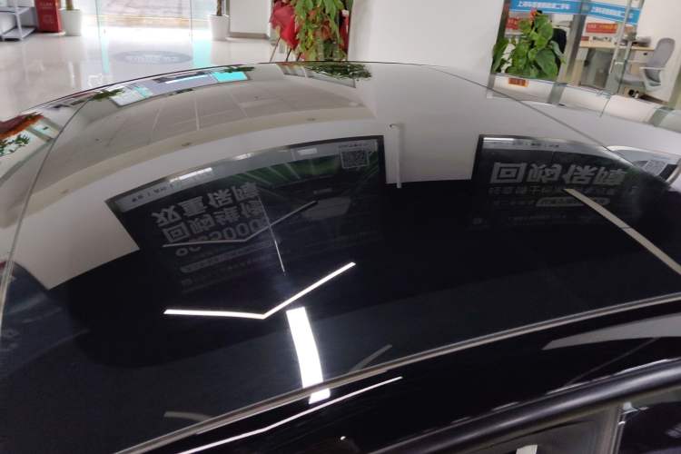 Used Tesla Model 3 2022 Rear-Wheel-Drive Version Roof