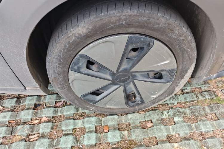 Used AION Y 2022 70 Enjoyment Edition Lithium Iron Phosphate
