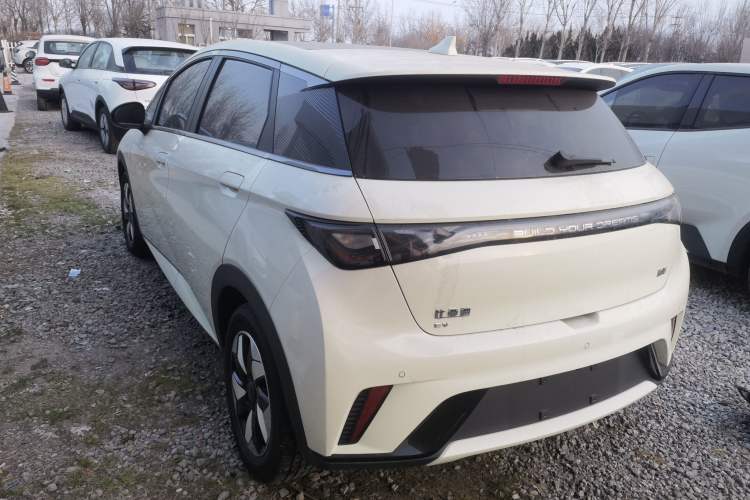 Used BYD Dolphin 2024 Honor Edition 420km Fashion Version