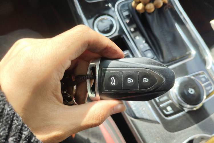 Used Leopaard CS9 2017 1.5L CVT Luxury Model