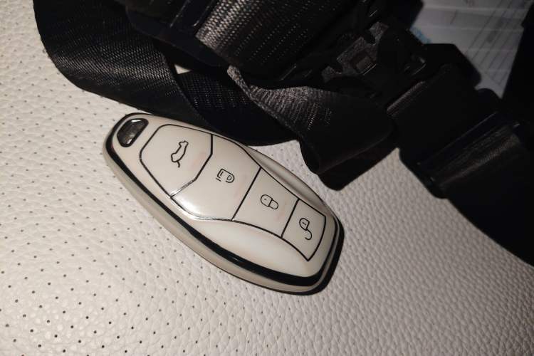 Used Hongqi HQ9 2023 2.0T Smart Connect Flagship Edition
