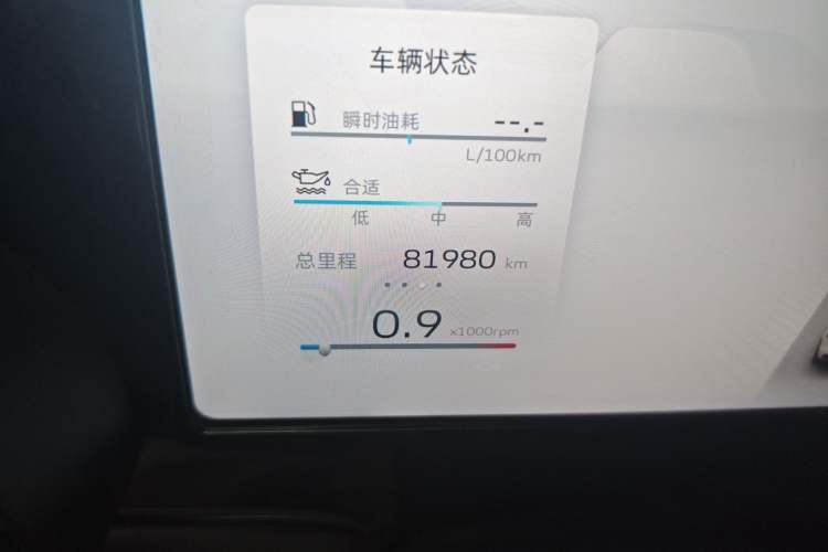 Used Geely Auto Monjaro L 2021 2.0TD DCT EVO Two-Wheel Drive Prestige Version
