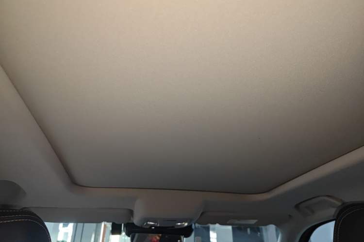 Used Haval DARGO 2024 2.0T DCT Chinese Rural Dog Edition
