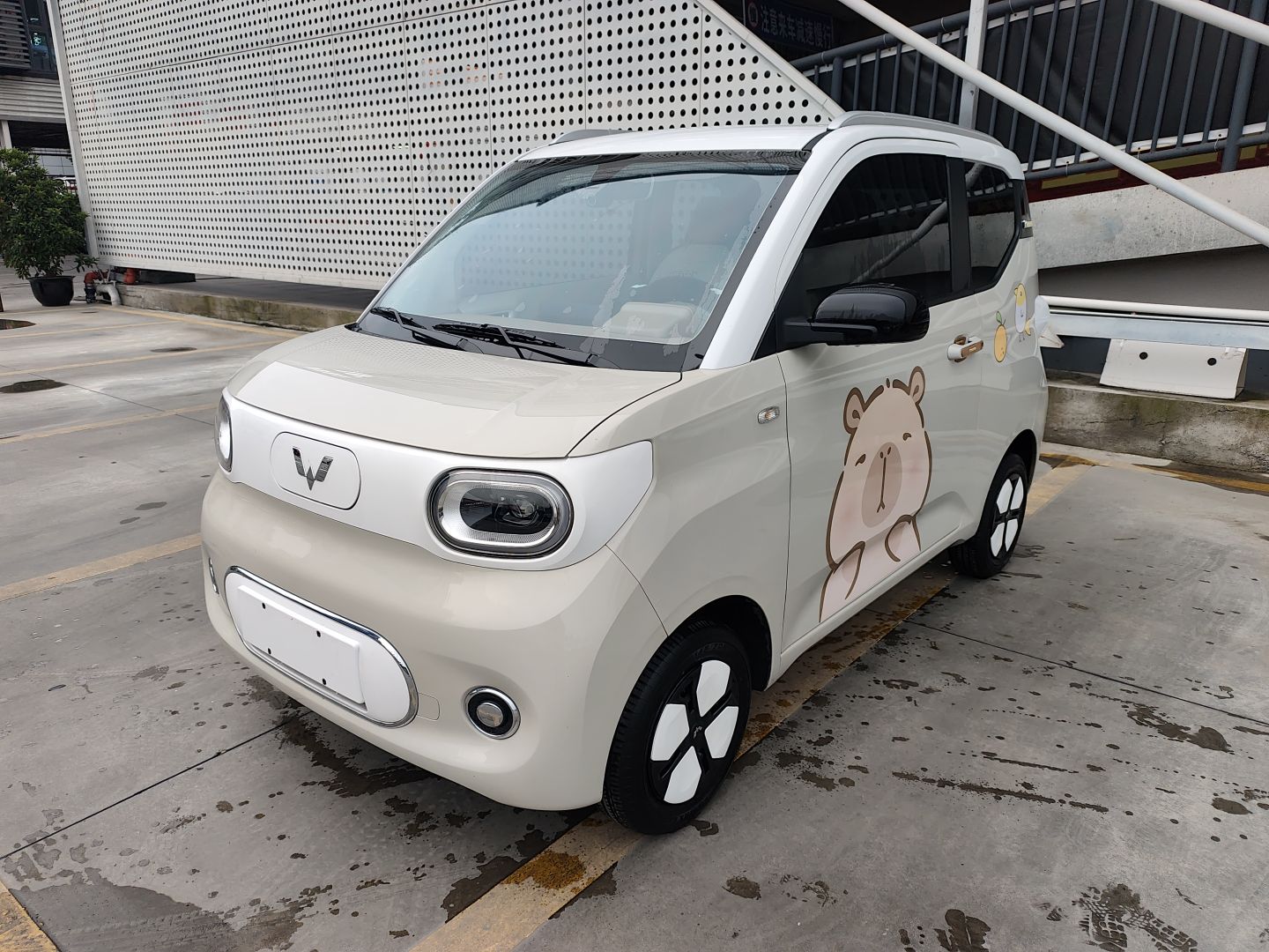 تحت مقدمة السيارة