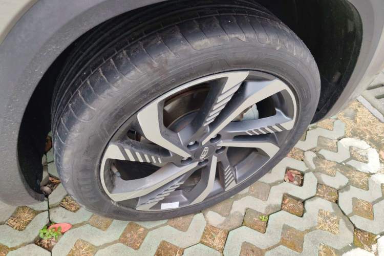 Used Geely Auto Monjaro L 2024 2.0TD High-Power Automatic Two-Wheel Drive Skyline Edition
