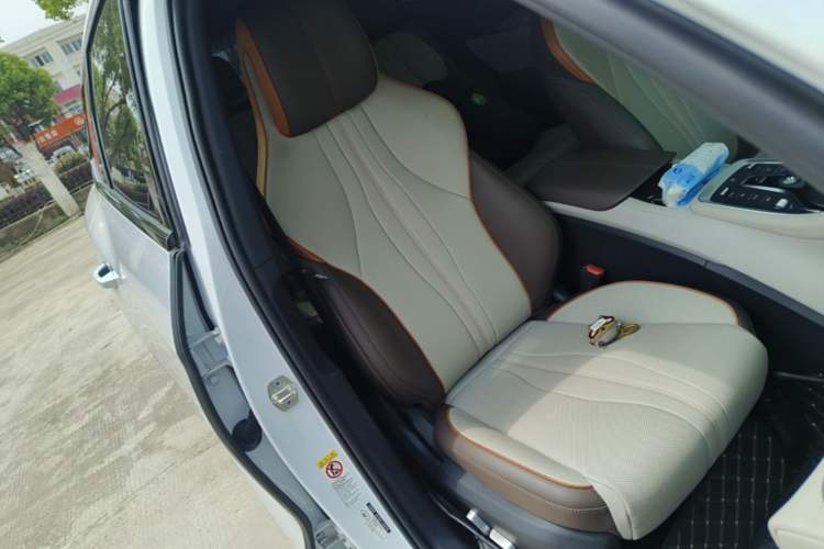 Used BYD Song Pro New Energy 2022 DM-i 110km Flagship Pro Model Right Front Seat