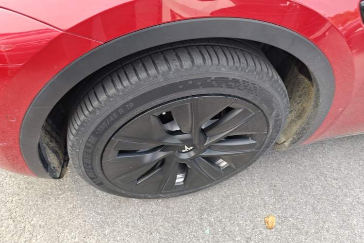 Used Tesla Model Y 2021 Standard Range Rear-Wheel Drive Version
