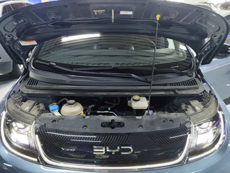 Used BYD Dolphin 2025 520km Range Knight Edition — 19