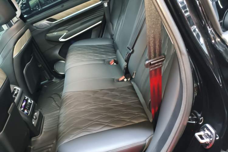 Used Tank 500 New Energy 2026 Model—Hi4-T Standard Version Left Rear Seat