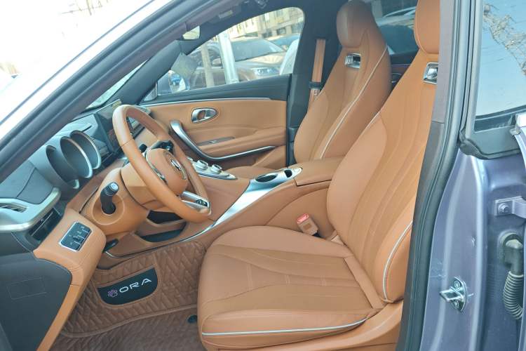 Used ORA Lightning Cat 2022 555 km Luxury Edition