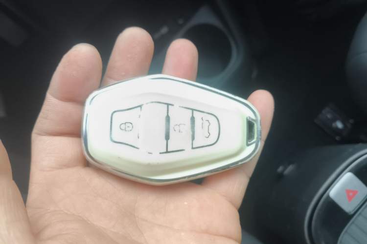 Used Chery New Energy Boundless Pro 2022 301km "Divine Beast" Version with Lithium Iron Phosphate