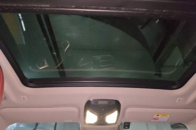 Used BMW iX3 2022 Leading Type Headliner