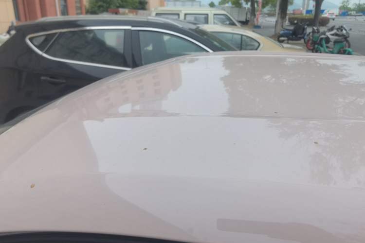 Used BYD Seagull 2023 Active Version Roof