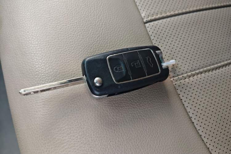 Used FORTHING Lingzhi M5 2020 Long-Range Luxury 7-Seater Model
