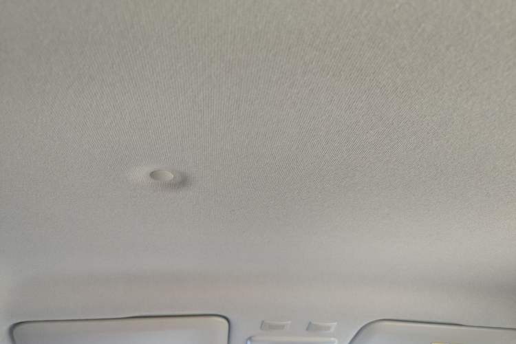 Used ORA Black Cat 2019 351 km Goddess Edition
