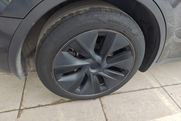 Used Tesla Model Y 2024 Rear-Wheel-Drive Version Exterior 5